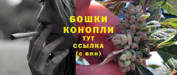 Альфа ПВП Верхний Тагил