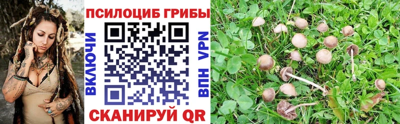 Псилоцибиновые грибы MAGIC MUSHROOMS  Сретенск 